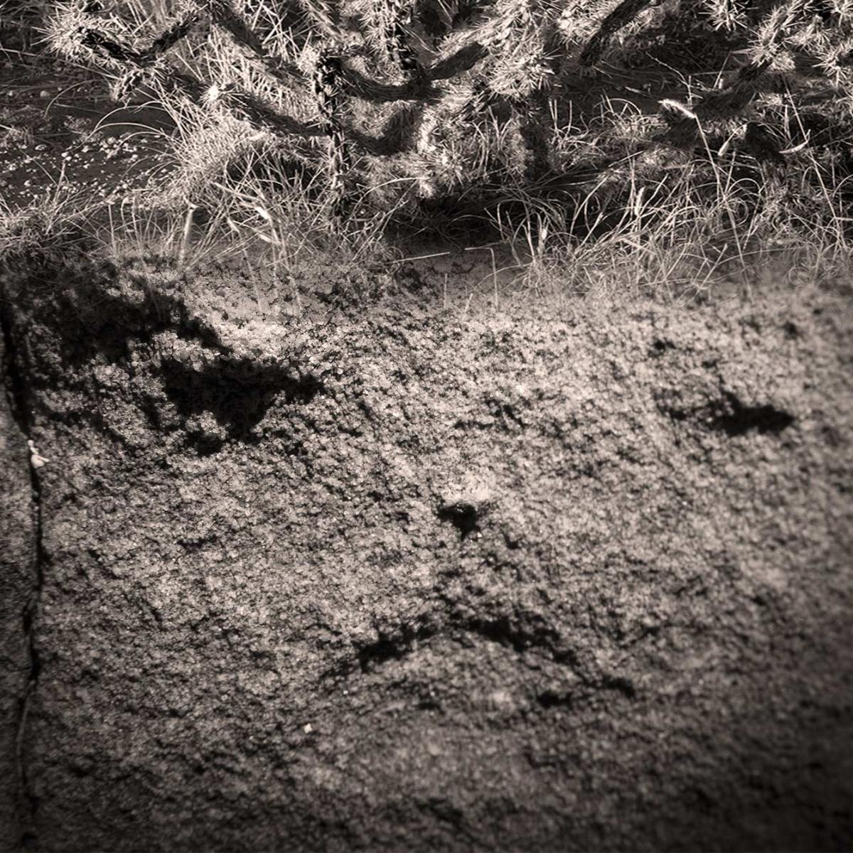 looking back at&nbsp;me