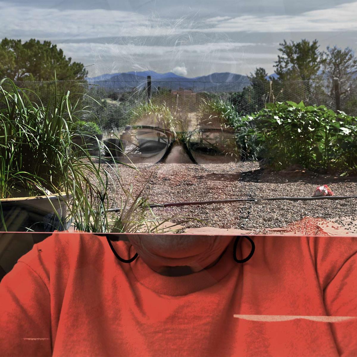 was it the red and&nbsp;green?